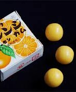 ガム　画像