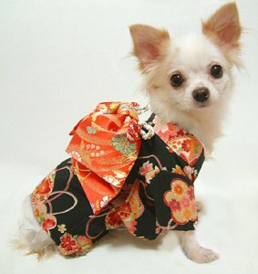 動物　イヌ　着物